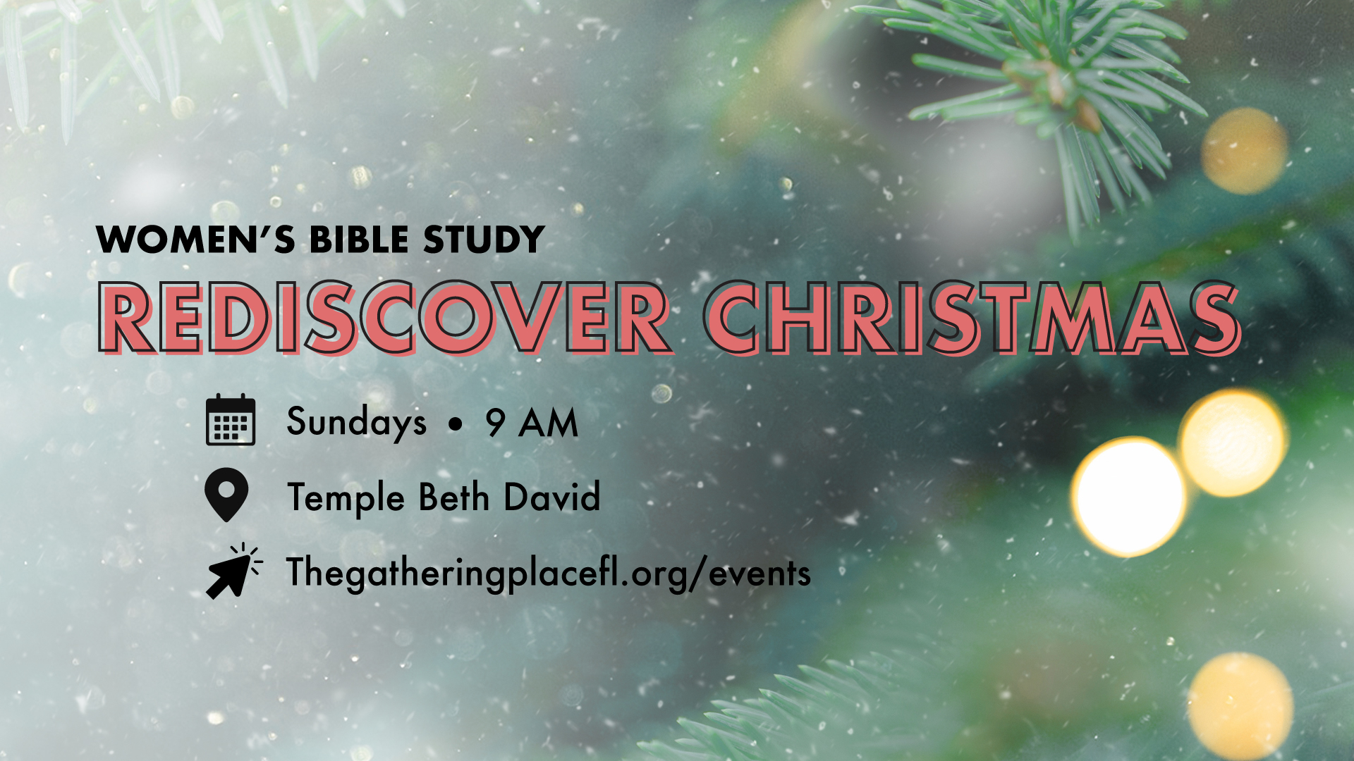 Womens Ministry Bible Study: Rediscover Christmas Dec 2024